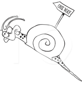 Snail